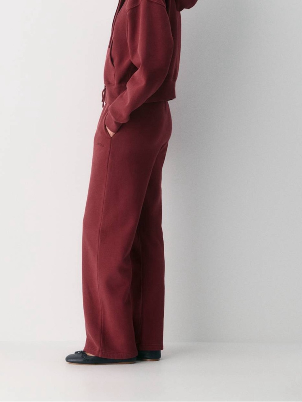 SOLD IN STORE Aritzia Sweatfleece Cozy Fleece Boyfriend Fit Wide Leg - Picture 2 of 14